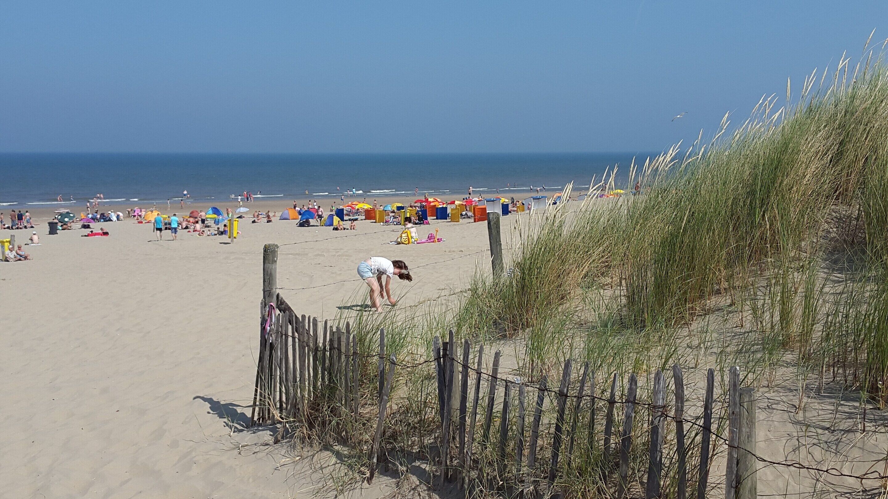 Rumah | Pemandangan dari properti