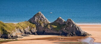 Relaxed, pet-friendly stay with garden and beach nearby