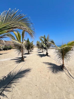 Playa privada y arena blanca