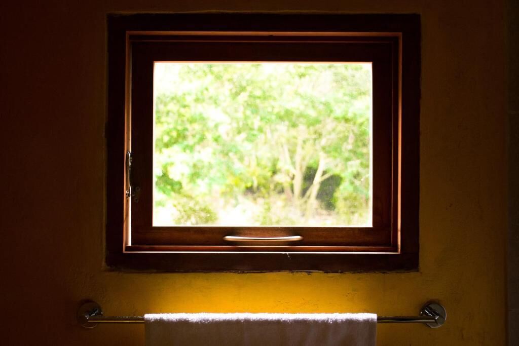 Una ventana con vistas a zonas verdes.