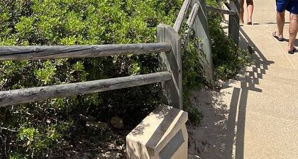 Looking for peace near the beach in a natural environment? This is the place.....