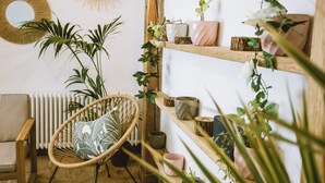 A cozy room with a wicker chair, a wooden shelf with plants, and a white radiator.