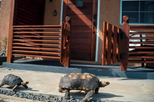 Ideal Studio Apartment,  AC, WIFI & parking, minutes from Stadium and the city