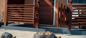 Ideal Studio Apartment,  AC, WIFI & parking, minutes from Stadium and the city