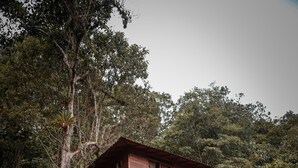 A wooden house with a balcony, surrounded by lush greenery and trees. - Resurreeccion (San Francisco)