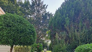 Ein gepflasterter Weg führt durch einen Garten mit verschiedenen Sträuchern und blühenden Pflanzen.