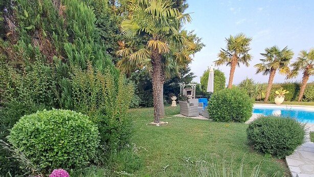Ein angelegter Garten mit Pool, verschiedenen Sträuchern und einer Pergola.
