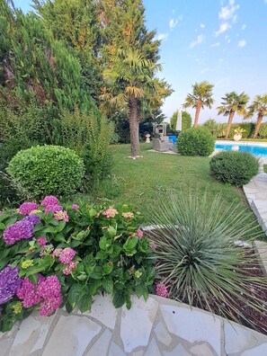 Un jardin aménagé avec une piscine, différents arbustes et une pergola.