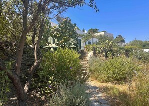 Un chemin de pierres mène à un bâtiment blanc doté d’un toit plat, lequel est entouré de divers arbustes et arbres.
