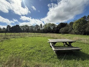 Ett picknickbord på en gräsig äng med träd i bakgrunden.
