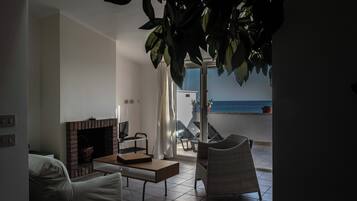 Smart TV, lareira, livros