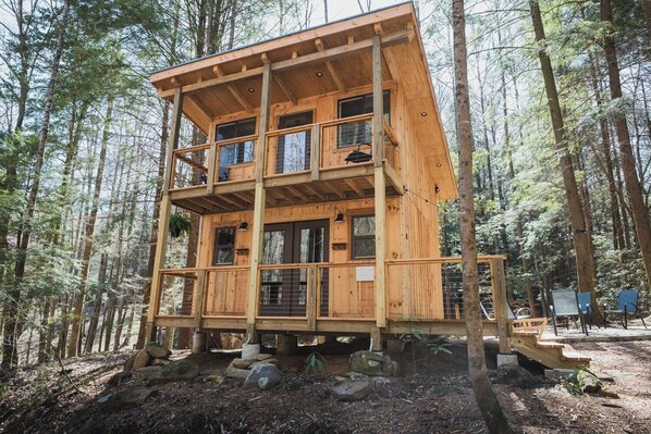 Exterior - Fairytale SQUIRREL'S NEST cabin at Mulberry Gap in Ellijay! (Ellijay)