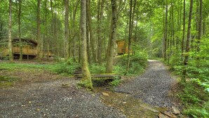 A forested area with a gravel path leading to wooden cabins. - Fairytale SQUIRREL'S NEST cabin at Mulberry Gap in Ellijay! (Ellijay)