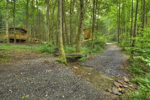 Property grounds - Fairytale SQUIRREL'S NEST cabin at Mulberry Gap in Ellijay! (Ellijay)