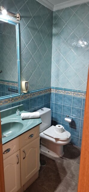 Secador de pelo y toallas
