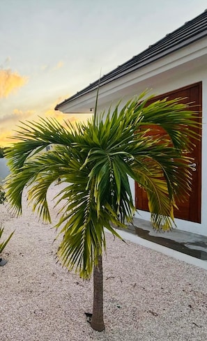 Exterior detail - Villa Milamor Curacao - Harmonie, Grote Berg (Grote Berg)