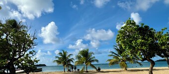 Cottage Palmier Rouge