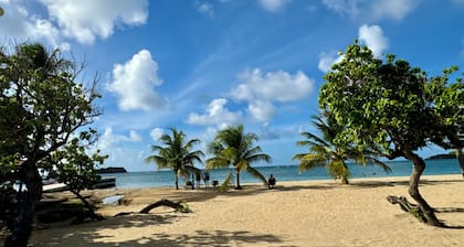 Cottage Palmier Rouge