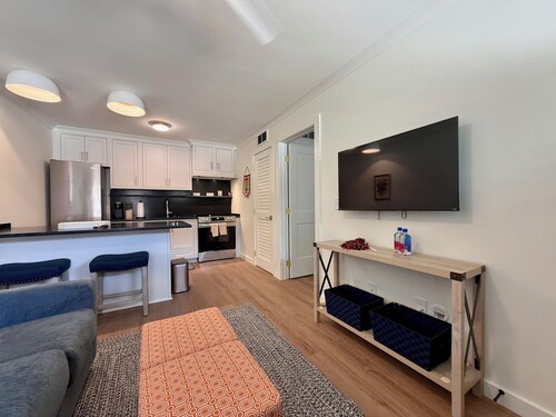 Charming, Newly Renovated Samford Ave. Condo in Downtown Auburn!!
