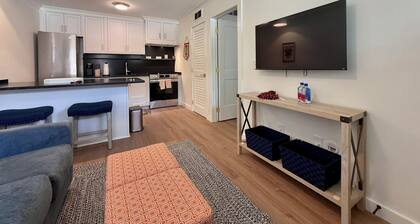 Charming, Newly Renovated Samford Ave. Condo in Downtown Auburn!!