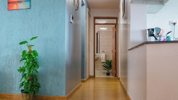 Um corredor com uma planta em vaso, piso de madeira, interruptor de luz e uma porta que dá para um banheiro.