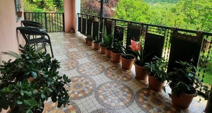Charming 2-bedroom house with AC, WiFi in delightful Batumi