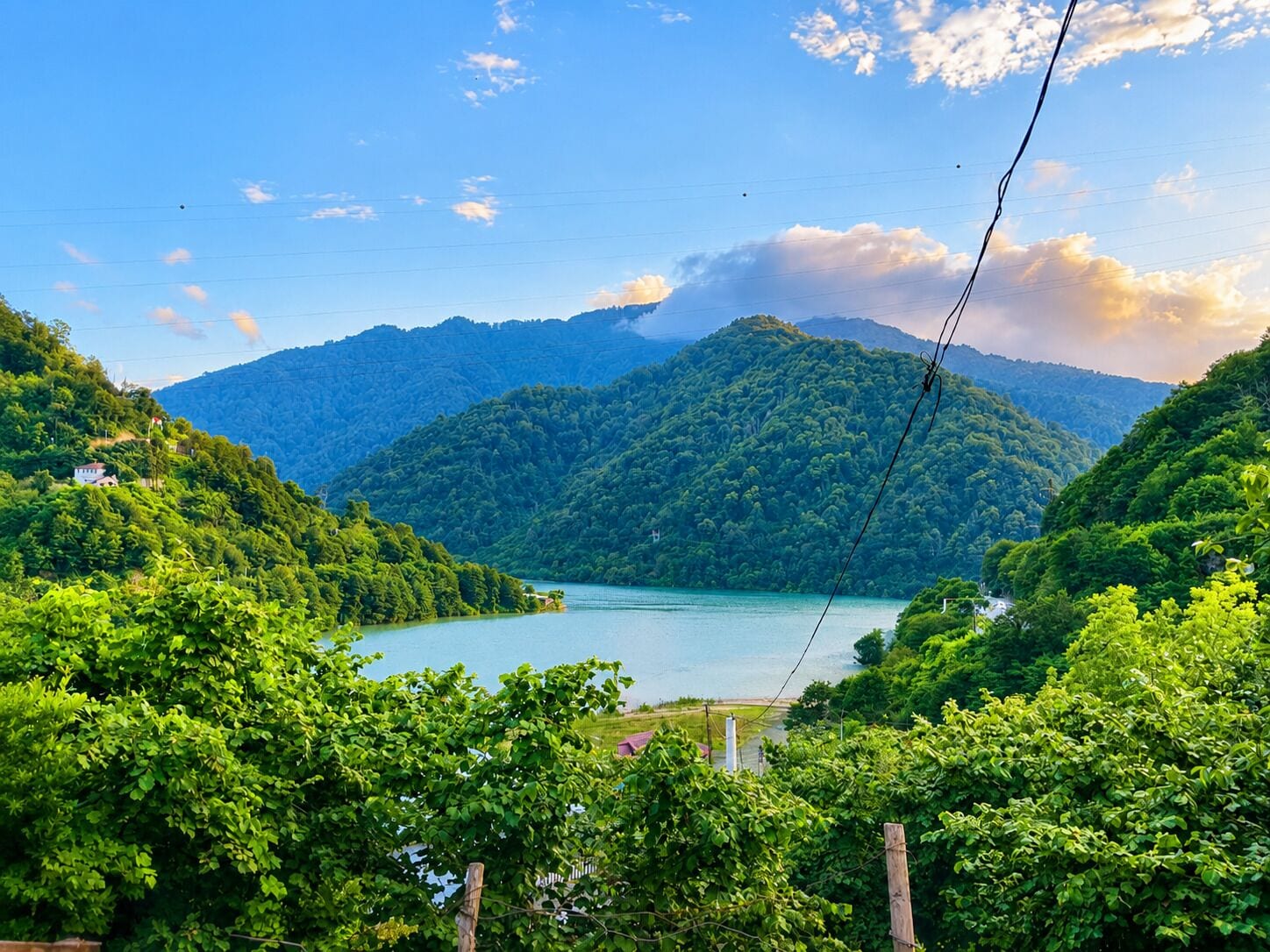 منوع