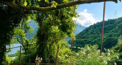 Nature, fresh air, peace, and stunning mountain and lake views near Batumi.