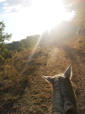 Horse riding