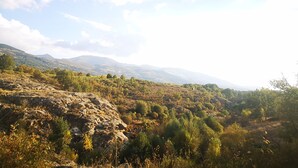 A mountainous landscape with rocky terrain and scattered trees.