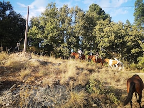 Horse riding