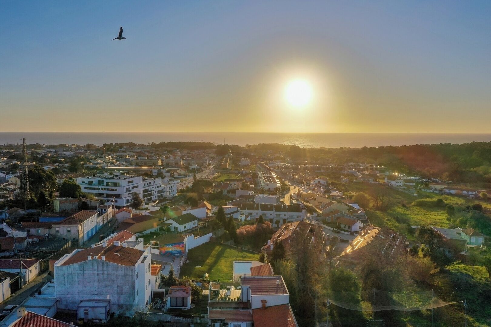 A coastal town with a mix of residential buildings and open spaces, a clear sky, and a bird flying in the distance.