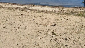 Beach - (Perham)