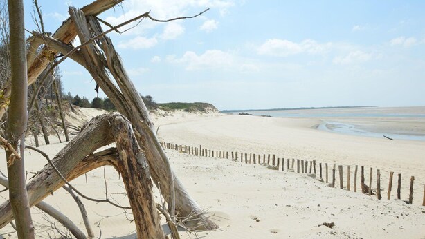 A sandy beach with a wooden fence and driftwood. - Balneo 100m beach (Berck)