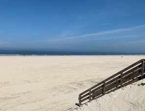 Beach - Balneo 100m beach (Berck)