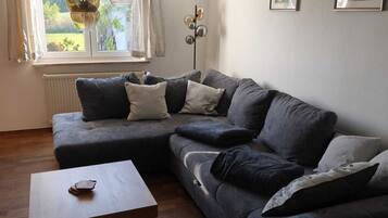 Smart-TV, Kamin, Bücher