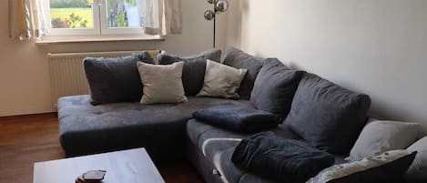 TV connectée, cheminée, livres