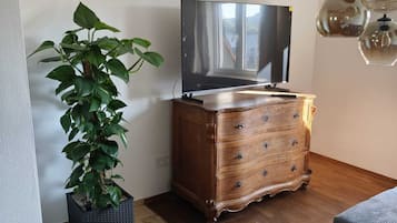 Smart TV, lareira, livros