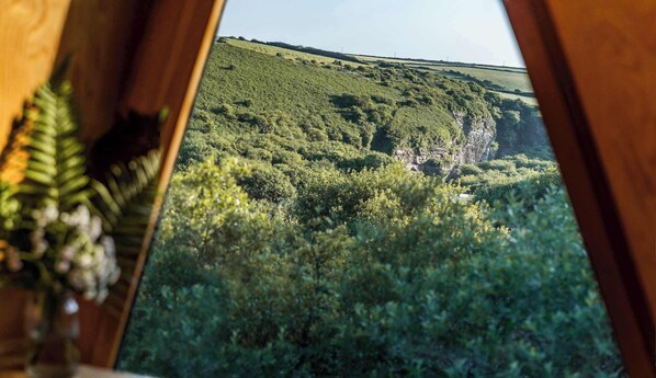 A view from a window overlooking a lush green landscape with a hill and a cliff.