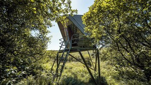 A metal structure with a ladder, surrounded by dense foliage. - Kudhva 4 Summary:<br>Per (Tintagel)