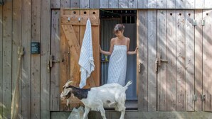 A wooden barn entrance with a goat and a person in a towel. - The K-Tent 2 Summary: (Tintagel)