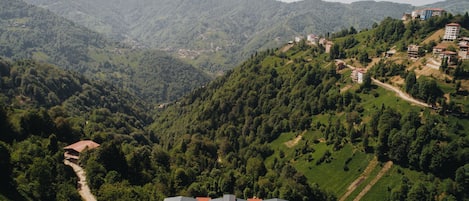 Ulkopuoli