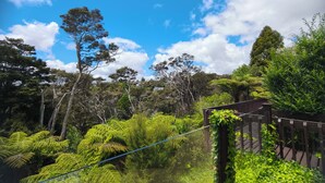 A lush garden with various trees and ferns, a wooden fence, and a clear blue sky.