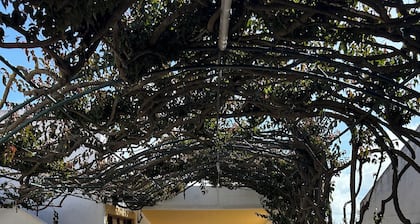 Casa Pedras da Rainha