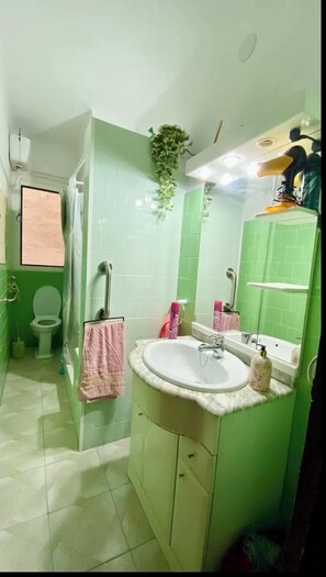 Hair dryer, towels, soap, shampoo