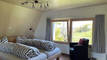2 bedrooms, iron/ironing board, WiFi (free), bed sheets
