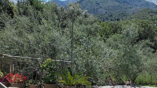 A pool area with lounge chairs, surrounded by stone flooring and potted plants. - Villa Kastania, Melidoni, Chania, Crete. (Melidoni Chania)
