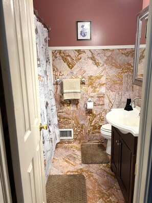 按摩浴缸、吹风机、毛巾、肥皂