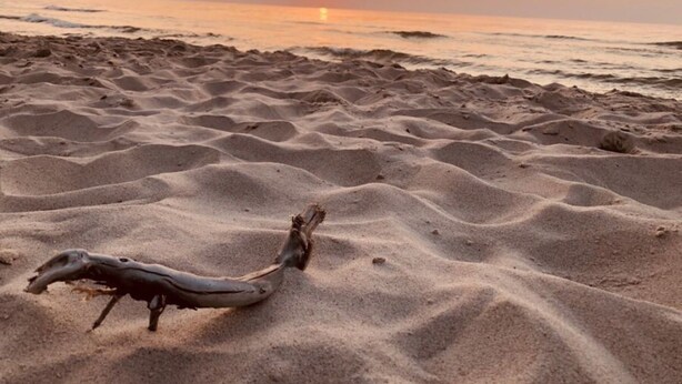 A beach with undulating sand patterns and a piece of driftwood. - Cottage in Plesna Near Sandy Beach (gmina Będzino)