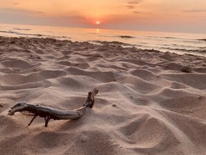 Ferienhaus | Blick von der Unterkunft